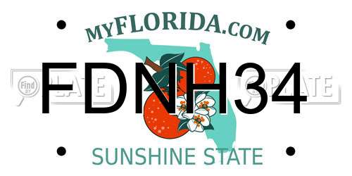 FDNH34 Florida License Plate
