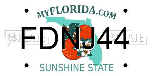 FDNJ44 Florida License Plate