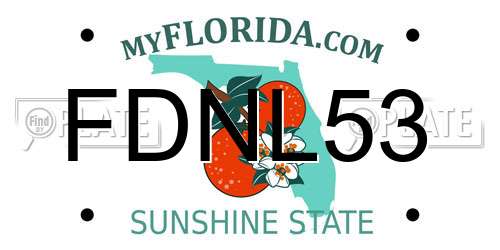 FDNL53 Florida License Plate