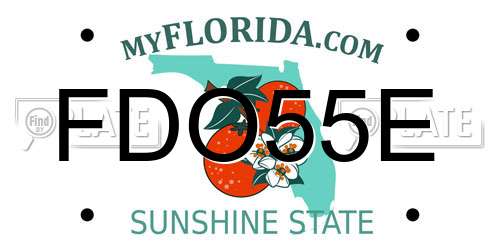FDO55E Florida License Plate