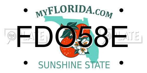 FDO58E Florida License Plate