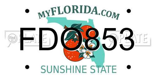 FDO853 Florida License Plate