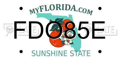 FDO85E Florida License Plate