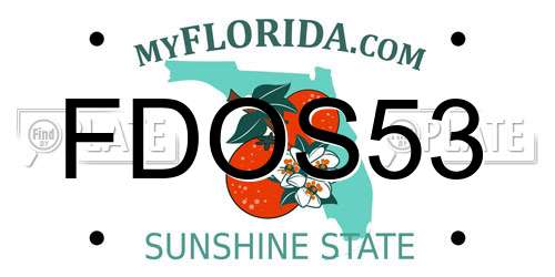 FDOS53 Florida License Plate