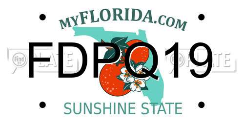 FDPQ19 Florida License Plate