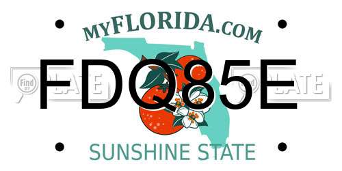 FDQ85E Florida License Plate