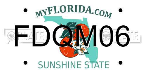 FDQM06 Florida License Plate