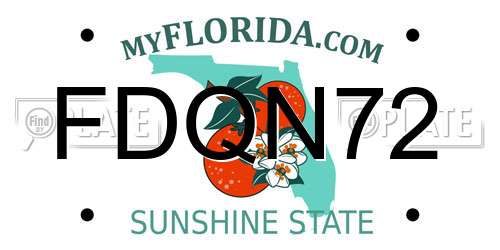 FDQN72 Florida License Plate