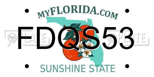 FDQS53 Florida License Plate