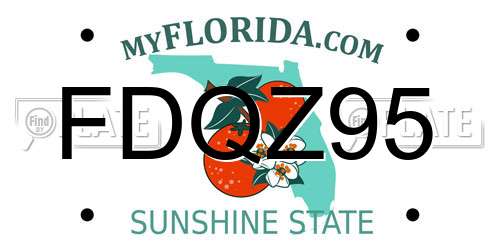 FDQZ95 Florida License Plate