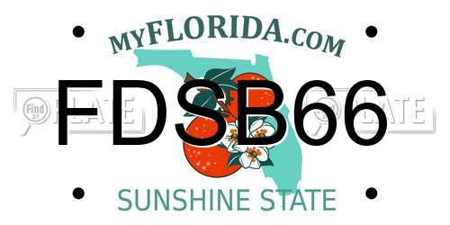 FDSB66 Florida License Plate