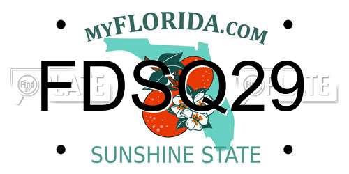 FDSQ29 Florida License Plate