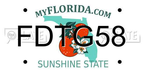 FDTG58 Florida License Plate