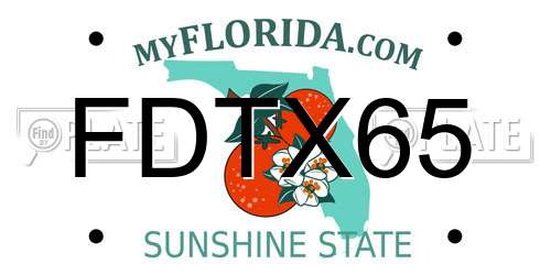 FDTX65 Florida License Plate