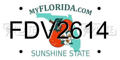 FDV2614 Florida License Plate