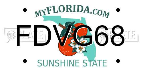 FDVG68 Florida License Plate