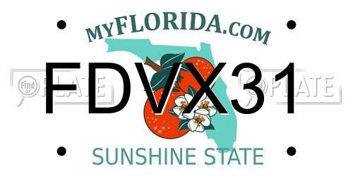 FDVX31 Florida License Plate