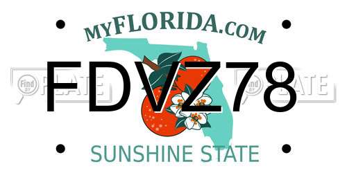 FDVZ78 Florida License Plate
