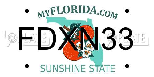 FDXN33 Florida License Plate