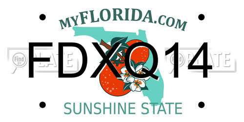 FDXQ14 Florida License Plate