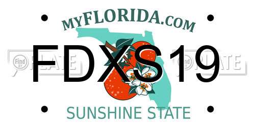 FDXS19 Florida License Plate
