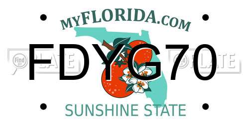 FDYG70 Florida License Plate