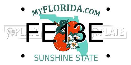 FE13E Florida License Plate