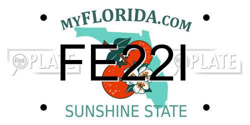 FE22I Florida License Plate