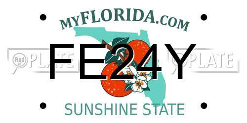 FE24Y Florida License Plate
