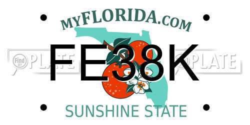 FE38K Florida License Plate