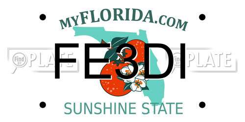 FE3DI Florida License Plate