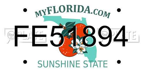 FE51894 Florida License Plate