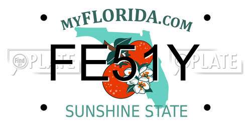 FE51Y Florida License Plate