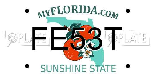 FE53T Florida License Plate