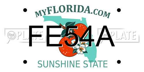FE54A Florida License Plate