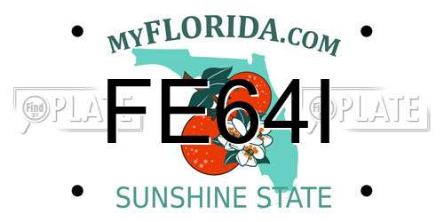 FE64I Florida License Plate