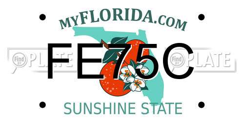 FE75C Florida License Plate