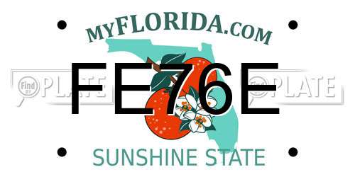 FE76E Florida License Plate