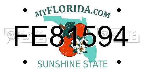 FE81594 Florida License Plate