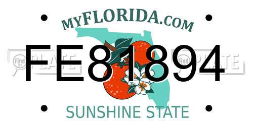 FE81894 Florida License Plate
