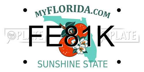 FE81K Florida License Plate