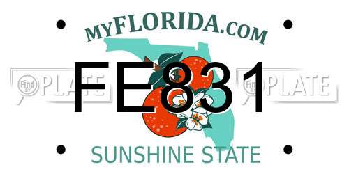 FE831 Florida License Plate
