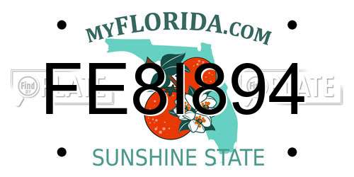 FE8I894 Florida License Plate
