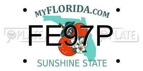 FE97P Florida License Plate