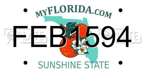 FEB1594 Florida License Plate