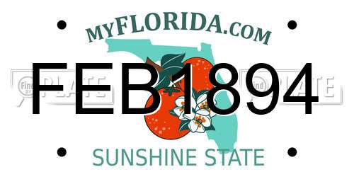 FEB1894 Florida License Plate