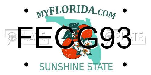FECG93 Florida License Plate