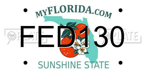 FED130 Florida License Plate