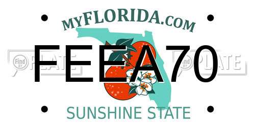 FEEA70 Florida License Plate