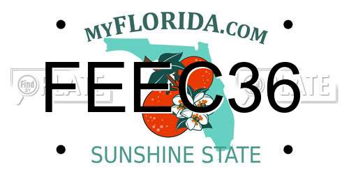 FEEC36 Florida License Plate